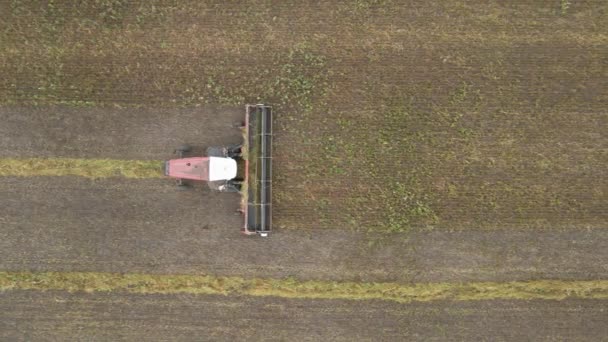 Memanen Flax Harvesting Flax Katun Ladang Peternakan Dan Farmlands Combines — Stok Video