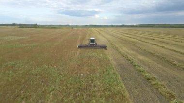 Kazakhstan,Astana-11.25.2022:Harvesting flax.Harvesting flax,cotton in fields,ranches and farmlands.Combines mow flax in the field.Agro-industrial complex. A combine harvester cuts cotton in the field