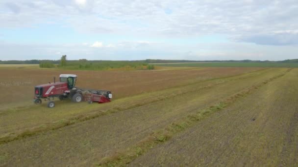 Kazakhstan Astana 2022 Harvesting Flax Harvesting Flax Cotton Fields Ranches — Stock video
