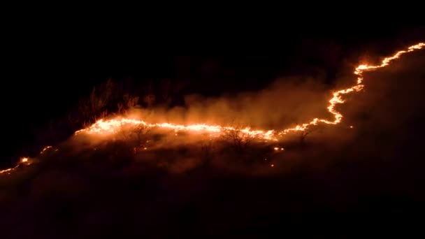 Nächtliches Feuer Wald Mit Feuer Und Rauch Epische Luftaufnahme Eines — Stockvideo