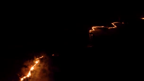 Nächtliches Feuer Wald Mit Feuer Und Rauch Epische Luftaufnahme Eines — Stockvideo