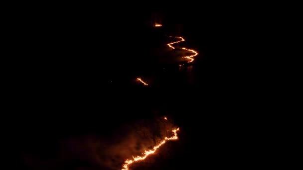Nocny Pożar Lesie Ogniem Wędzoną Epicki Film Lotu Płonącej Dzikiej — Wideo stockowe
