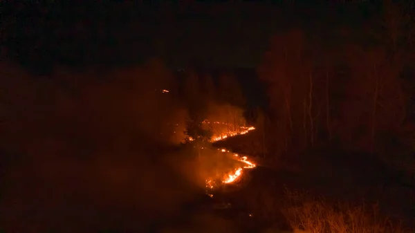 Nächtliches Feuer Wald Mit Feuer Und Rauch Epische Luftaufnahme Eines — Stockfoto