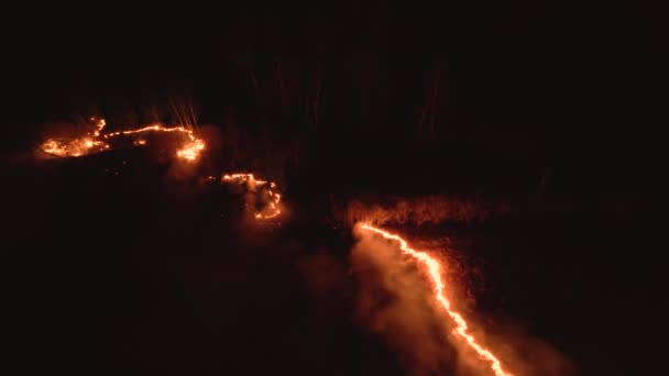 火と煙で森の中の夜の火災 喫煙野生の炎の壮大な空中ビデオ 燃える 夜に輝く火 森林火災 気候変動生態系暗闇の中での線の火災 — ストック動画