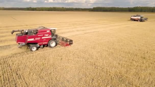 カザフスタン アスタナ 2023 小麦穀物を収穫する空気の景色 オート麦 ランチ 農地の大麦を収穫する 小麦畑のコンバインハーベスター切断 Agro Industry — ストック動画