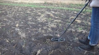 Altın detektörüyle arkeolojik ve hazine avcılığı. Yeraltında antika arayışı. Altın külçeleri üzerinde toprak araştırması. Elinde metal dedektörü ve küreği olan bir kadın.