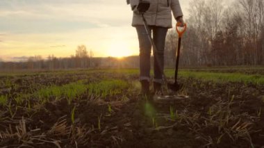 Altın detektörüyle arkeolojik ve hazine avcılığı. Yeraltında antika arayışı. Altın külçeleri üzerinde toprak araştırması. Elinde metal dedektörü ve küreği olan bir kadın.