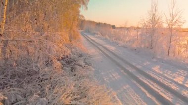 Buz gibi soğukta Kuzey Kutbu 'nda bir dron uçurmak. Soğuk kış mevsiminde donmuş kar tanelerinin kristalleri. Gün boyunca sakin bir kış ormanı.
