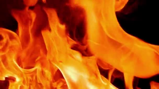 Langsom Bevægelse Video Ild Flammer Brand Pit Brændende Gas Eller – Stock-video