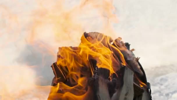 Vídeo Cámara Lenta Con Fuego Llamas Una Hoguera Leña Ardiente — Vídeos de Stock