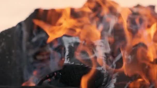 Slow Motion Video Fire Flames Bonfire Burning Firewood Fire Smoke — Stock Video