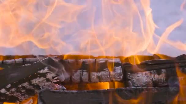 Lassított Mozgású Videó Tűzzel Lángokkal Tábortűz Tűzifa Égetése Tűzzel Füsttel — Stock videók