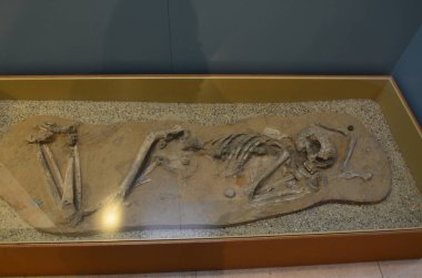 Regensburg, Almanya 12.02.2018: Tarih Müzesi Regensburg (Regensburg Tarih Müzesi)).