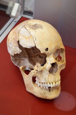 Frankfurt am Main, Almanya 08.26.2018: Frankfurt am Main Arkeoloji Müzesi