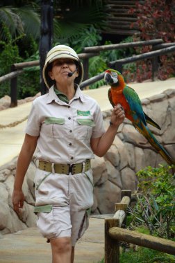Tenerife, İspanya 03.20.2018: Orman parkında bir zooloji merkezi olarak papağanların gösterimi