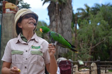 Tenerife, İspanya 03.20.2018: Orman parkında bir zooloji merkezi olarak papağanların gösterimi