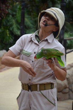 Tenerife, İspanya 03.20.2018: Orman parkında bir zooloji merkezi olarak papağanların gösterimi