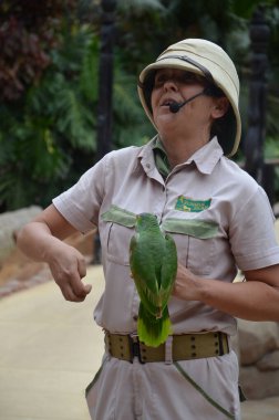 Tenerife, İspanya 03.20.2018: Orman parkında bir zooloji merkezi olarak papağanların gösterimi