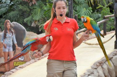 Tenerife, İspanya 03.20.2018: Orman parkında bir zooloji merkezi olarak papağanların gösterimi