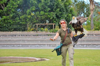 Tenerife, İspanya 03.20.2018: Tenerife adasındaki Jungle Park 'ta kuş gösterisi
