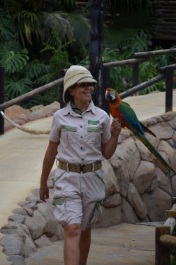 Tenerife, İspanya 03.20.2018: Orman parkında bir zooloji merkezi olarak papağanların gösterimi