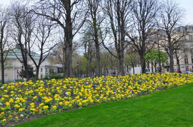 Paris, France 03.25.2017: Luxembourg Palace and park in Paris, the Jardin du Luxembourg