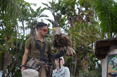 Tenerife, İspanya 03.20.2018: Orman parkında bir zooloji merkezi olarak papağanların gösterimi