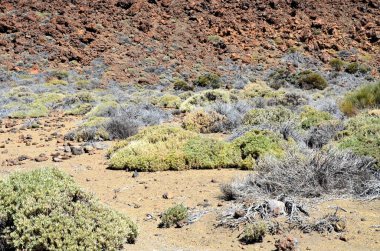 Güneşli bir günde çöldeki volkanik kaya oluşumlarının manzarası, Teide Ulusal Parkı, Tenerife