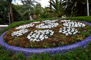 Garcia Sanabria Parkı, Santa Cruz de Tenerife, Kanarya Adaları, İspanya 'daki merdivenlerle çevrili çiçek saati.