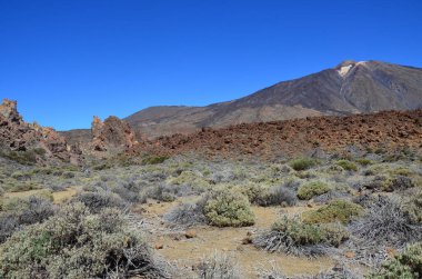 Güneşli bir günde çöldeki volkanik kaya oluşumlarının manzarası, Teide Ulusal Parkı, Tenerife