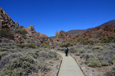Güneşli bir günde çöldeki volkanik kaya oluşumlarının manzarası, Teide Ulusal Parkı, Tenerife