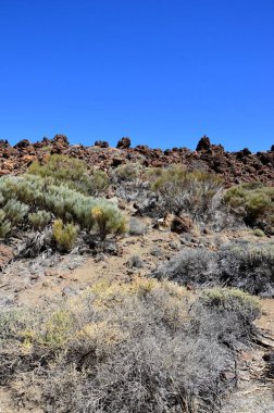 Güneşli bir günde çöldeki volkanik kaya oluşumlarının manzarası, Teide Ulusal Parkı, Tenerife