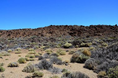 Güneşli bir günde çöldeki volkanik kaya oluşumlarının manzarası, Teide Ulusal Parkı, Tenerife
