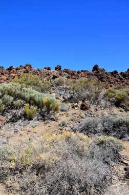 Güneşli bir günde çöldeki volkanik kaya oluşumlarının manzarası, Teide Ulusal Parkı, Tenerife