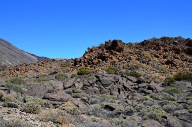 Güneşli bir günde çöldeki volkanik kaya oluşumlarının manzarası, Teide Ulusal Parkı, Tenerife