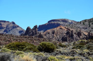Güneşli bir günde çöldeki volkanik kaya oluşumlarının manzarası, Teide Ulusal Parkı, Tenerife