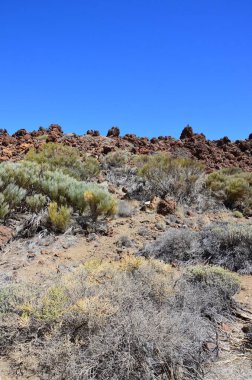 Güneşli bir günde çöldeki volkanik kaya oluşumlarının manzarası, Teide Ulusal Parkı, Tenerife