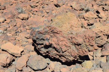 Güneşli bir günde çöldeki volkanik kaya oluşumlarının manzarası, Teide Ulusal Parkı, Tenerife