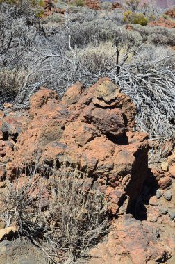 Güneşli bir günde çöldeki volkanik kaya oluşumlarının manzarası, Teide Ulusal Parkı, Tenerife