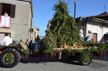 Villacidro, Sardunya 06.02.2019: Cherry 'nin geleneksel Sardunya kostümlü festivali