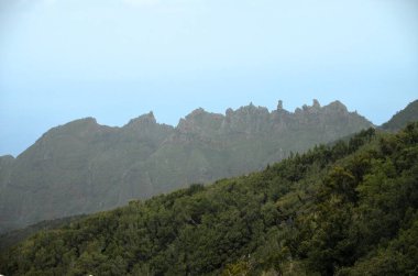 Tropikal dağlar Anaga kırsal Park, Tenerife, Kanarya Adaları'nda