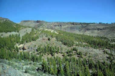 Güneşli bir günde çöldeki volkanik kaya oluşumlarının manzarası, Teide Ulusal Parkı, Tenerife