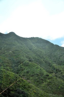 Tropikal dağlar Anaga kırsal Park, Tenerife, Kanarya Adaları'nda