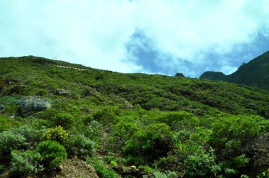 Tropikal dağlar Anaga kırsal Park, Tenerife, Kanarya Adaları'nda