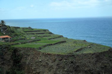 Tropikal dağlar Anaga kırsal Park, Tenerife, Kanarya Adaları'nda