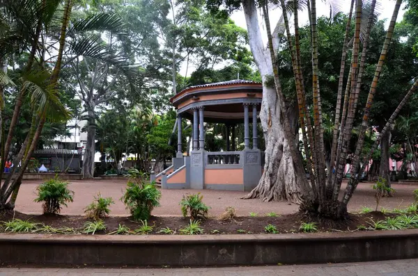 Santa Cruz de Tenerife 'deki Plaza del Principe de Asturias. Kanarya Adaları. İspanya