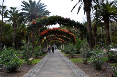 Tenerife Adası 'ndaki Santa Cruz de Tenerife Parkı (Garca Sanabria)