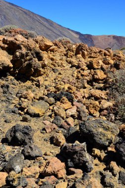 Teide Ulusal Parkı, Tenerife, Kanarya Adaları, İspanya