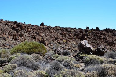 Güneşli bir günde çöldeki volkanik kaya oluşumlarının manzarası, Teide Ulusal Parkı, Tenerife