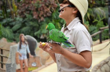 Tenerife, İspanya 03.20.2018: Orman parkında bir zooloji merkezi olarak papağanların gösterimi